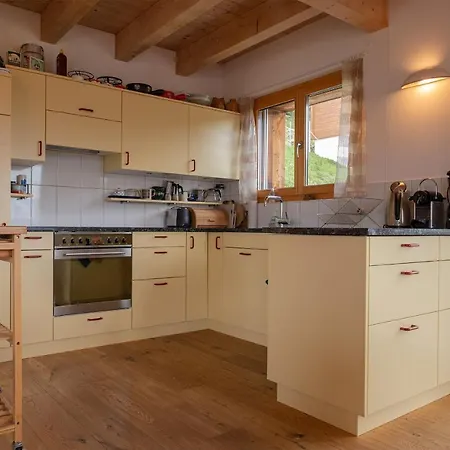 Schmetterling Bettmeralp